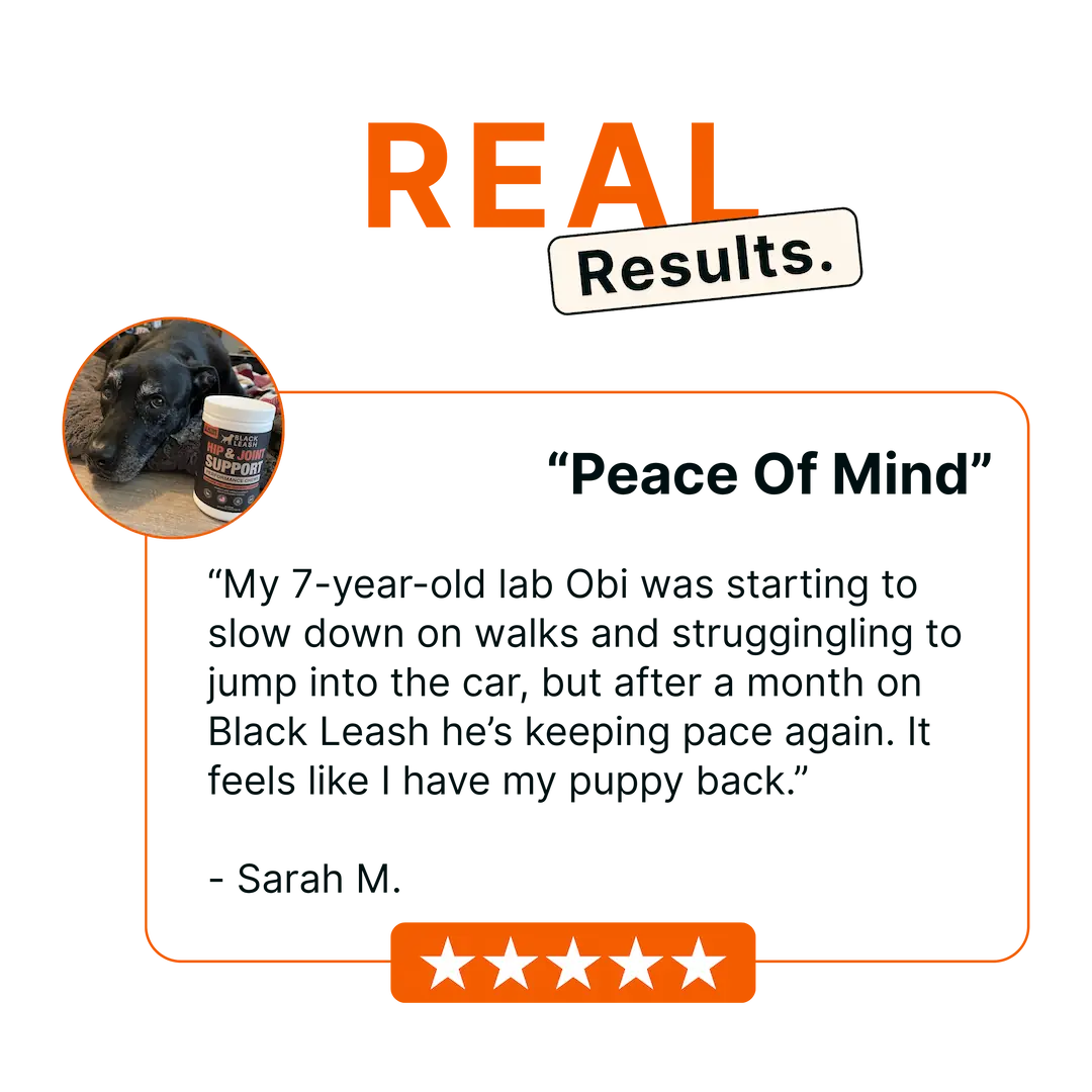 Advanced Hip & Joint Support Chews