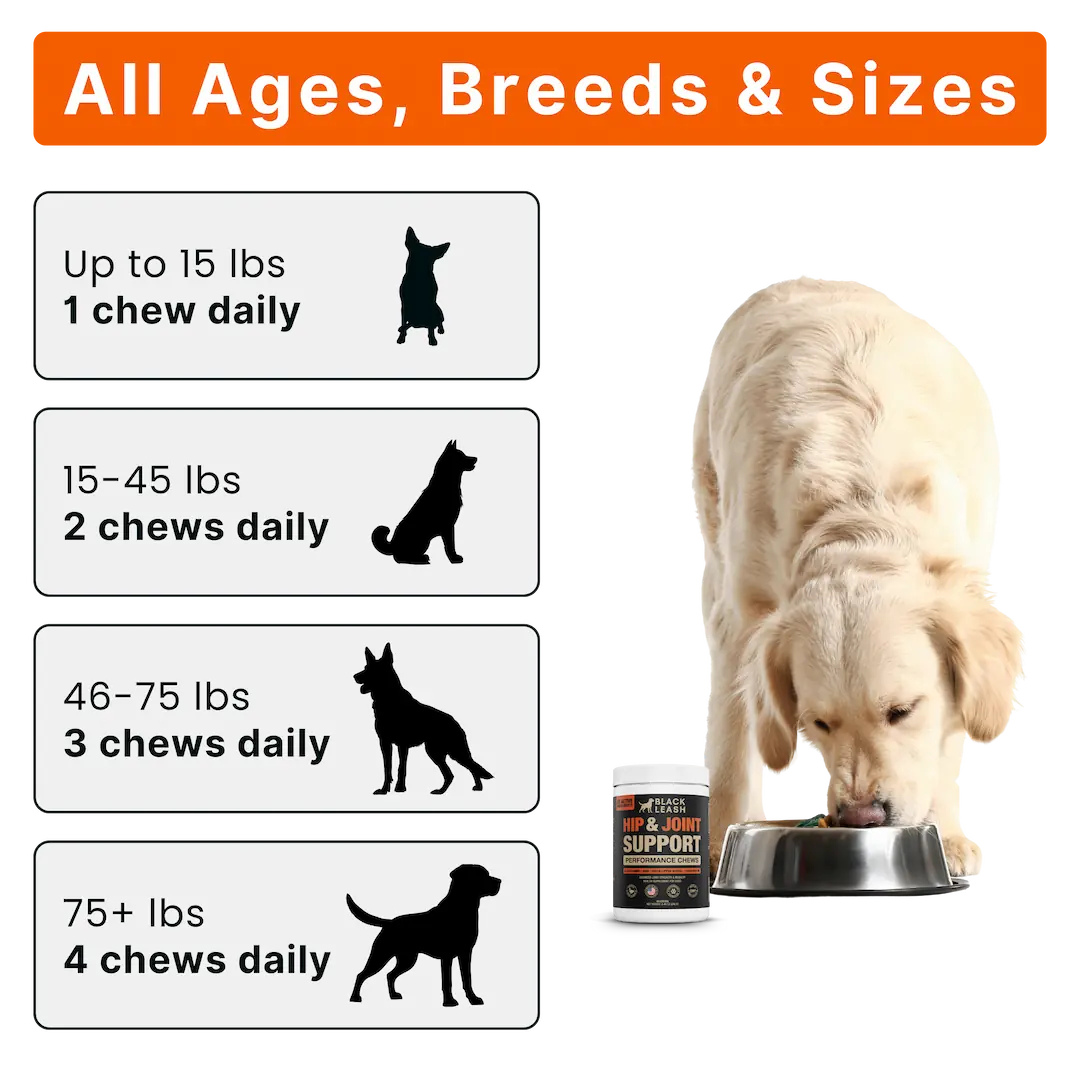 Advanced Hip & Joint Support Chews