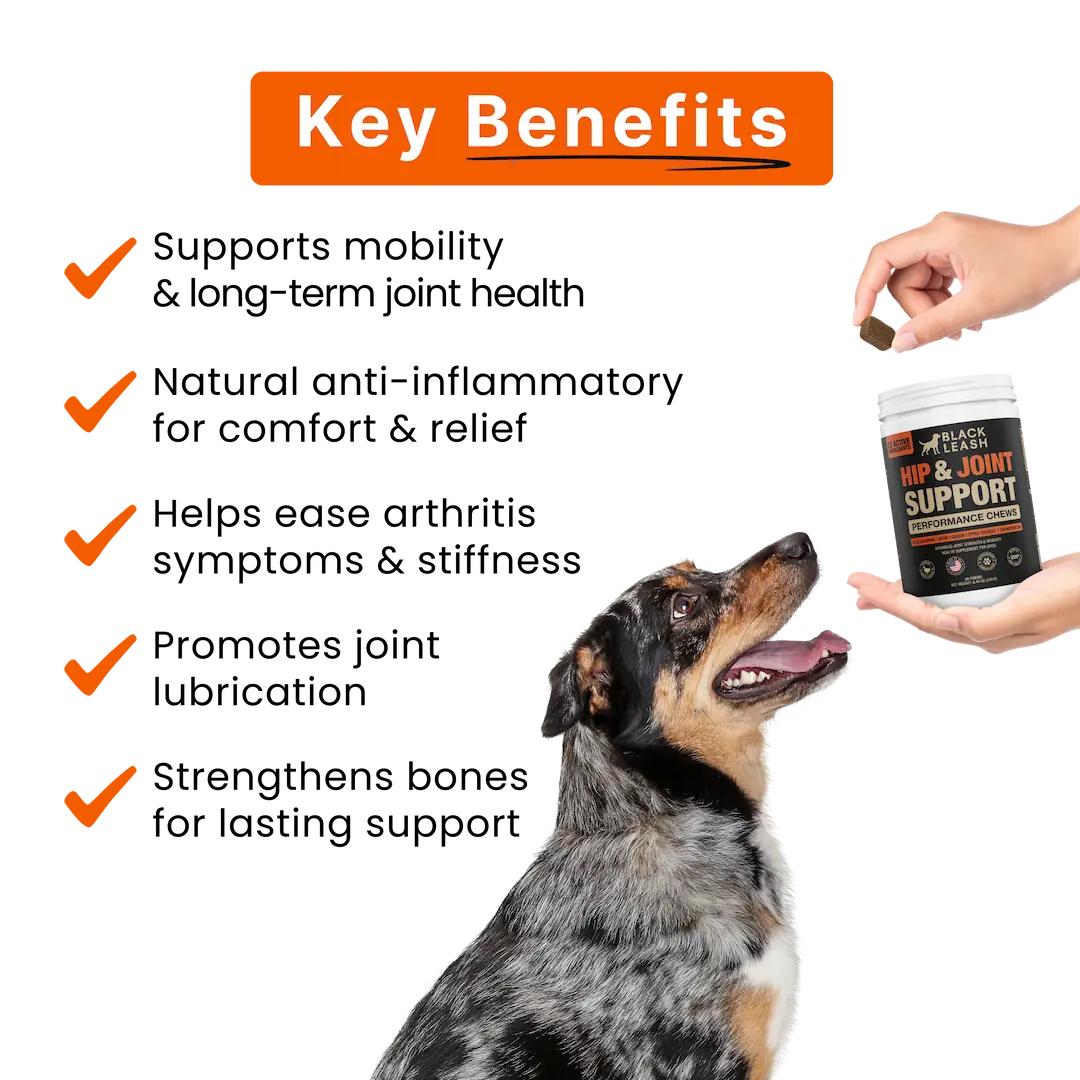Advanced Hip & Joint Support Chews